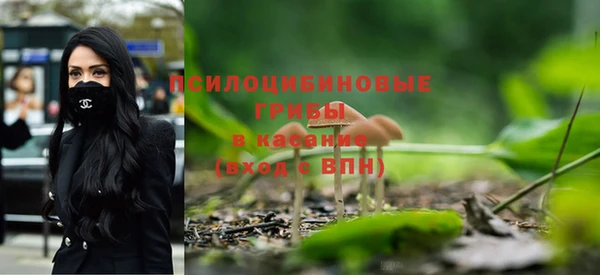 МДПВ Алзамай