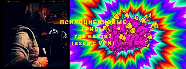 МДПВ Алзамай