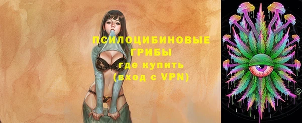 МДПВ Алзамай