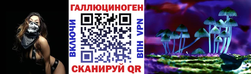 сайты даркнета как зайти  Бабаево  Псилоцибиновые грибы прущие грибы 